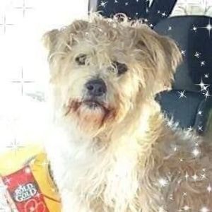 Meet your Posher, Ann marie